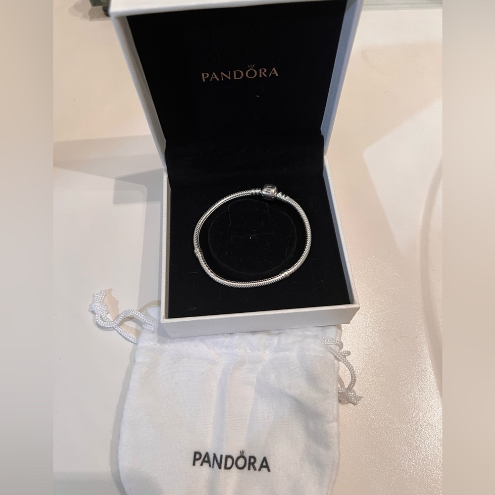 Standard Pandora bracelet